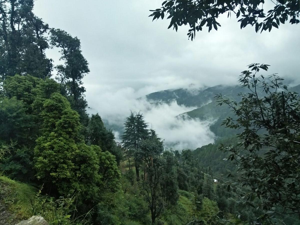 Royal Residency Hotel New Tehri Habitación foto